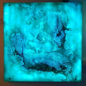 Shallow Waters