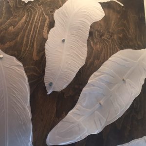 Floating Sandblasted Feathers